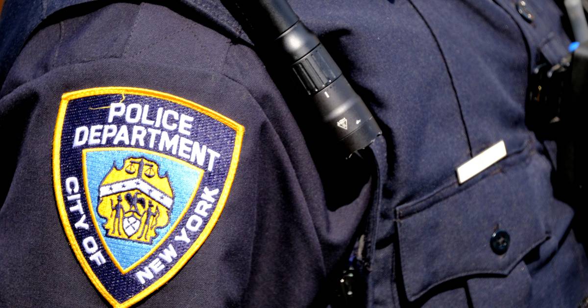 Cops nab homeless man in Brooklyn rape attempt: NYPD