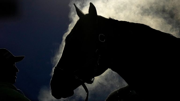 Steam rises from a horse as it gets a bath...