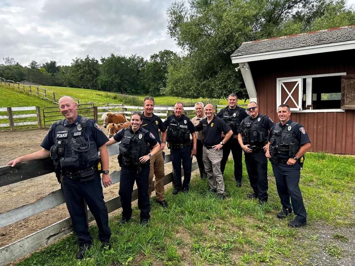 Colonie Police officers corral runaway horses back to their stables on June 26, 2023. 