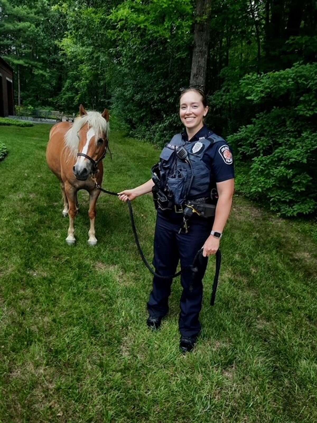 Colonie Police officers corral runaway horses back to their stables on June 26, 2023. 