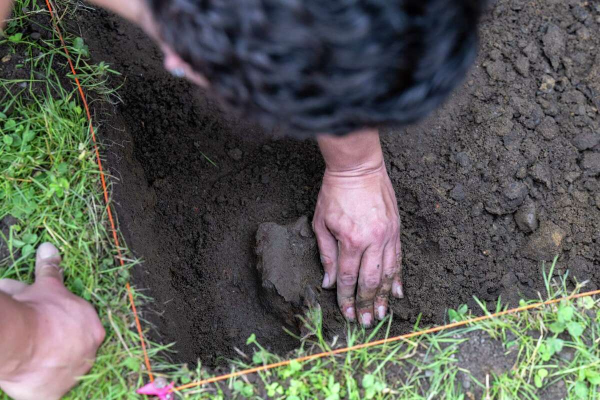 Shayna Thums moves dirt away from a piece of metal during an archeological dig at the Historic Grooms Tavern and the adjacent former blacksmith shop on Saturday, July 1, 2023, in Rexford, NY. (Jim Franco/Times Union)