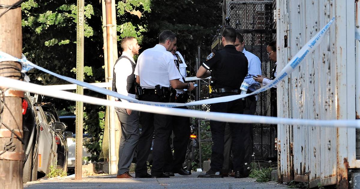 Cold-blooded killer shoots 28-year-old man in Bronx