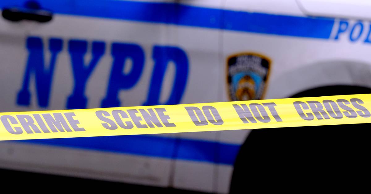 Girl, 17, wounded by stray bullet when gunman fires at Bronx crowd