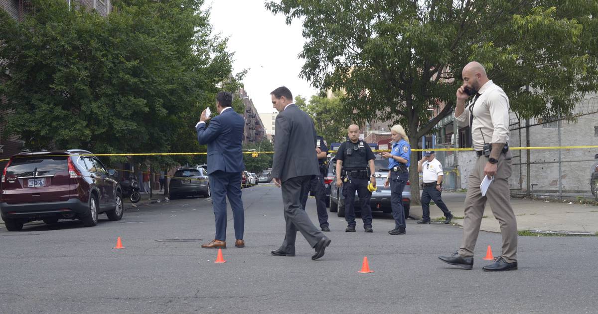 Four people, including boys ages 3 and 6, shot in NYC park