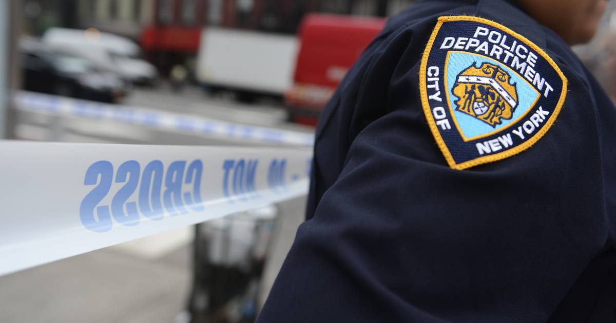 Bronx man surrenders to cops in fatal stabbing: NYPD