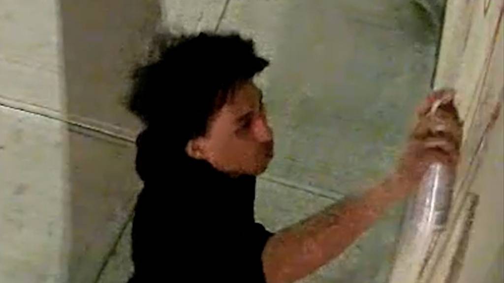 Surveillance video shows spray painter deface one of two Brooklyn synagogues, police said.