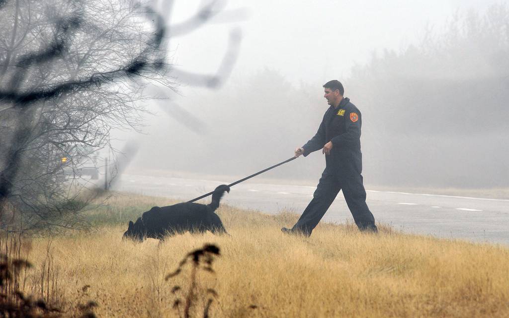 An officer from the Suffolk County Police Department's K-9 Unit uses a dog to search for Shannan Gilbert through the brush along the median of Ocean Parkway, near Oak Beach in Long Island, N.Y., on Monday, Dec. 5, 2011. 