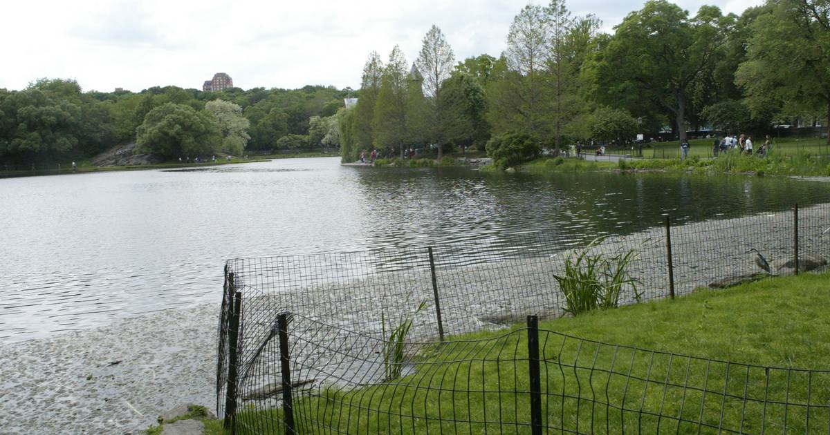 Dead body found in Central Park’s Harlem Meer Lake