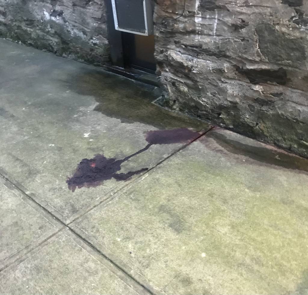 Blood stains the alley where a 4-year-old boy landed after falling from the fourth floor of a Farragut Road apartment building in Brooklyn Monday.