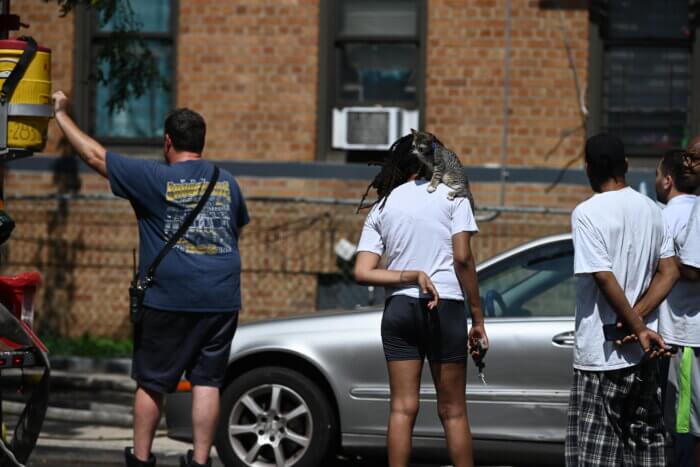 people on sidewalk during fire