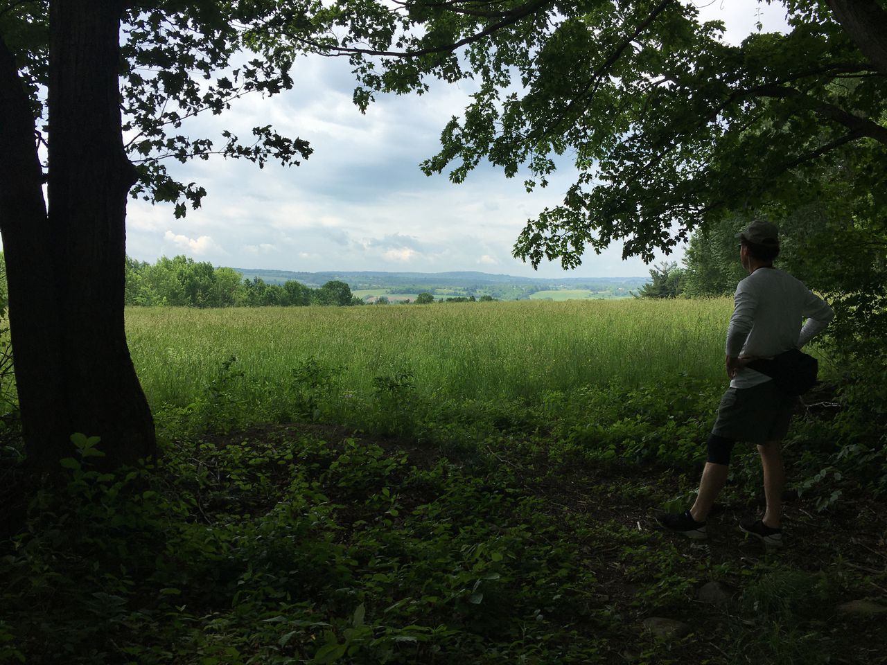 Strawberry Fields Nature Preserve, Amsterdam, NY