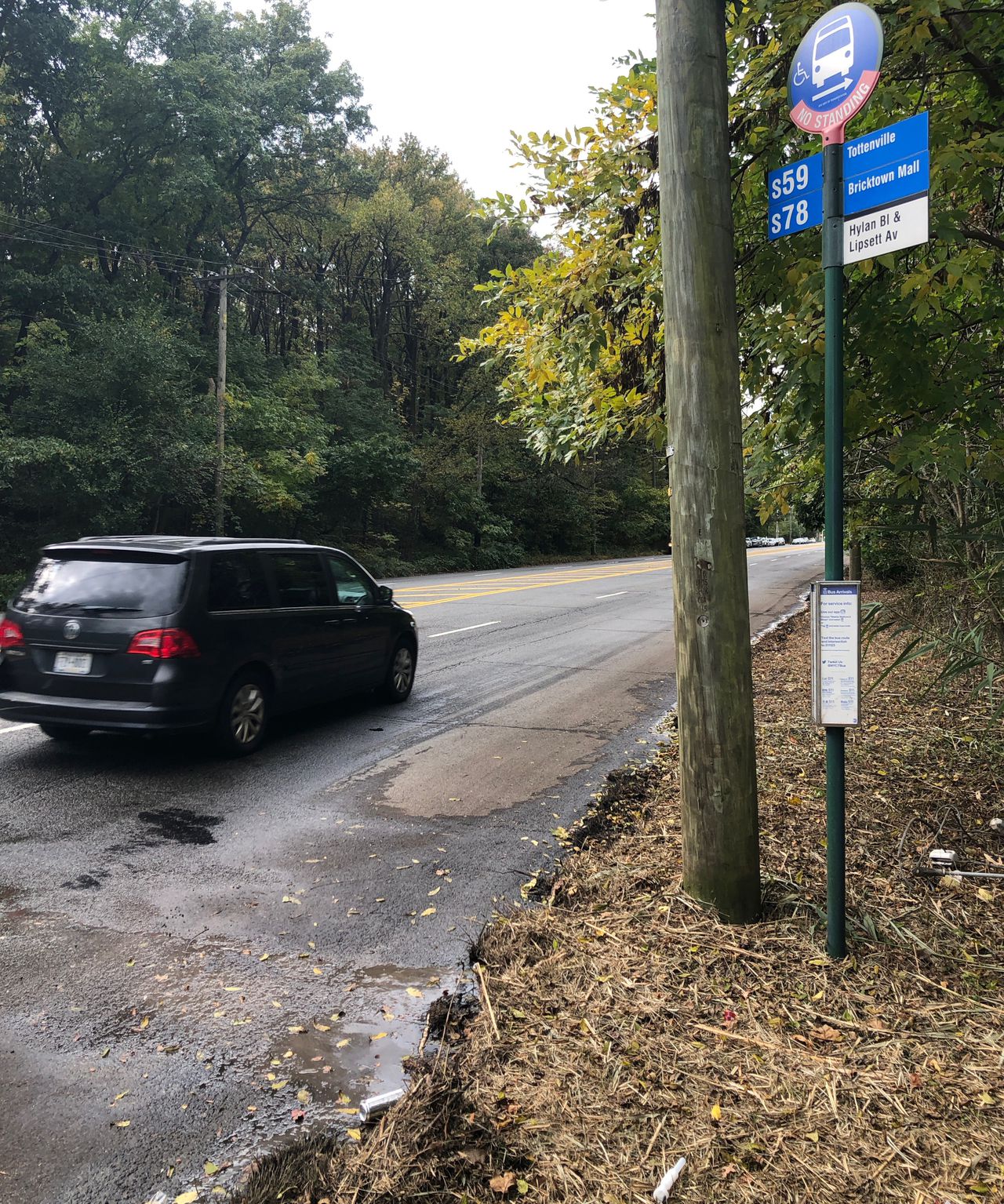 nws overgrown bus stop