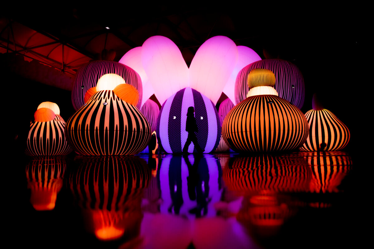 Interactive inflatable art exhibition Balloon Museum opens at the Seaport