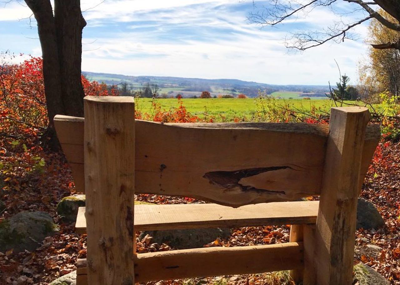 Strawberry Fields Nature Preserve, Amsterdam, NY