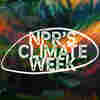 NPR's Climate Week: A Search For Solutions