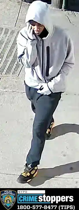 Suspect in Bronx stabbing