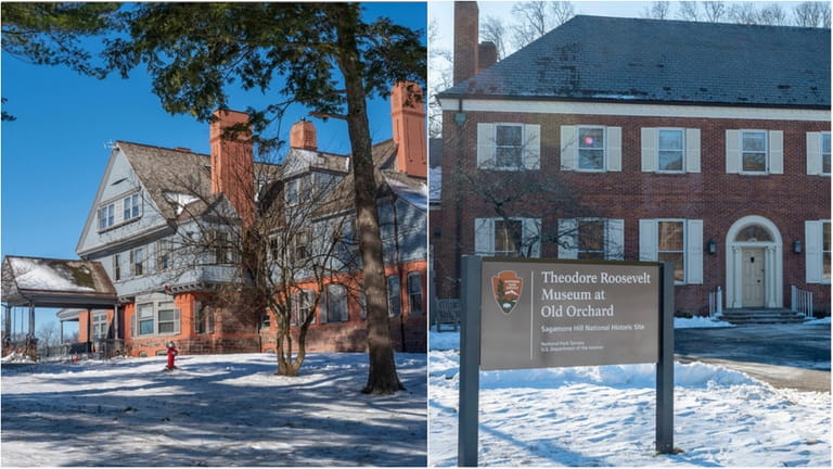 Cove Neck is home to Sagamore Hill National Historic Site...