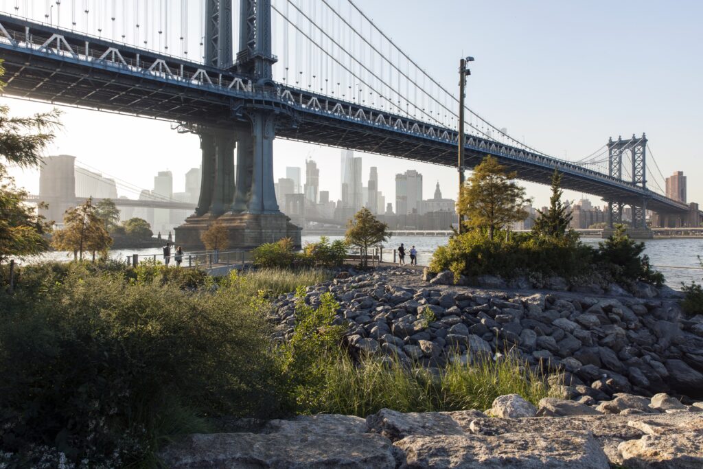 Brooklyn Bridge via Elizabeth Felicella