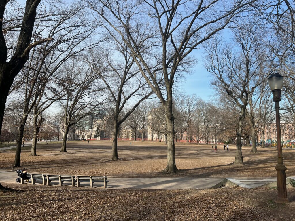 A 40,000-square-foot skate park is slated to be built in Brooklyn’s Mount Prospect Park and completed within the next year and a half.Brooklyn Eagle Photo by Wayne Daren Schneiderman