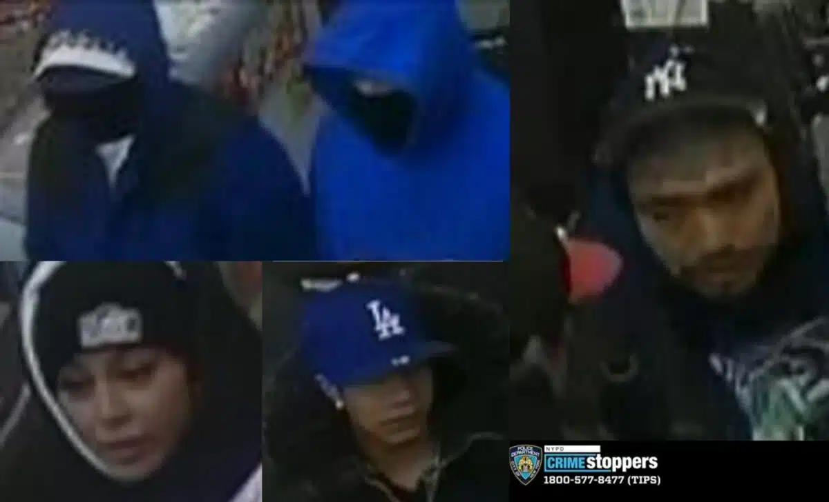 Brooklyn bodega stabbing suspects