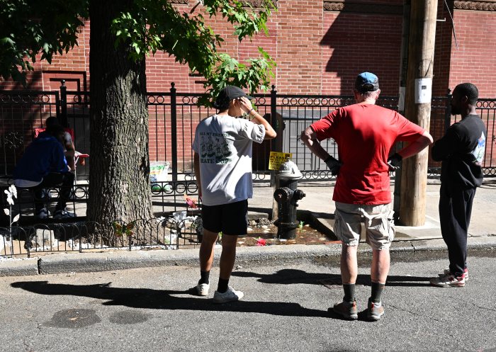 visitors at bed-stuy fish pond