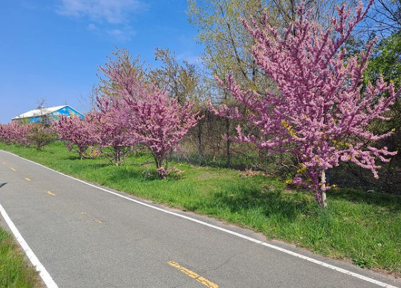 The Brooklyn Greenway near the entrance to Shirley Chisholm State Park in southeast Brooklyn.
Photo courtesy of Brooklyn Greenway Initiative
