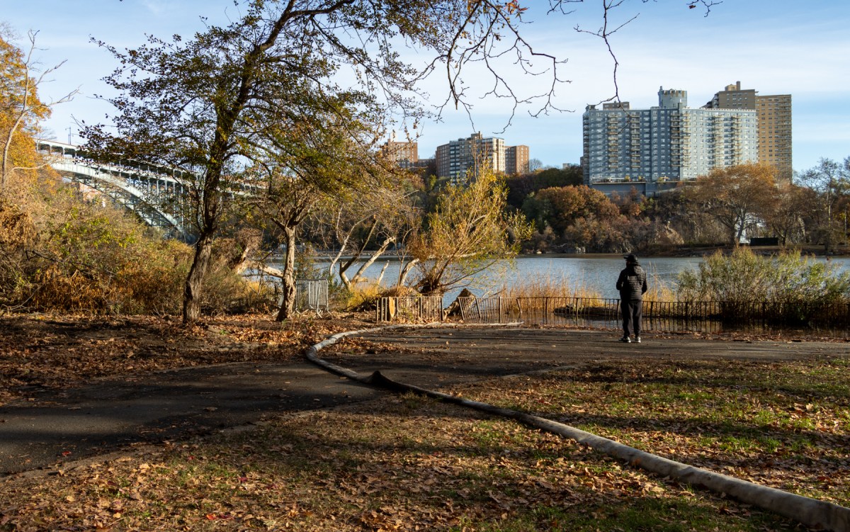 Inwood Hill Park on Nov. 14, 2024, the day after a three-alarm fire damaged four acres of the upper Manhattan greenspace.