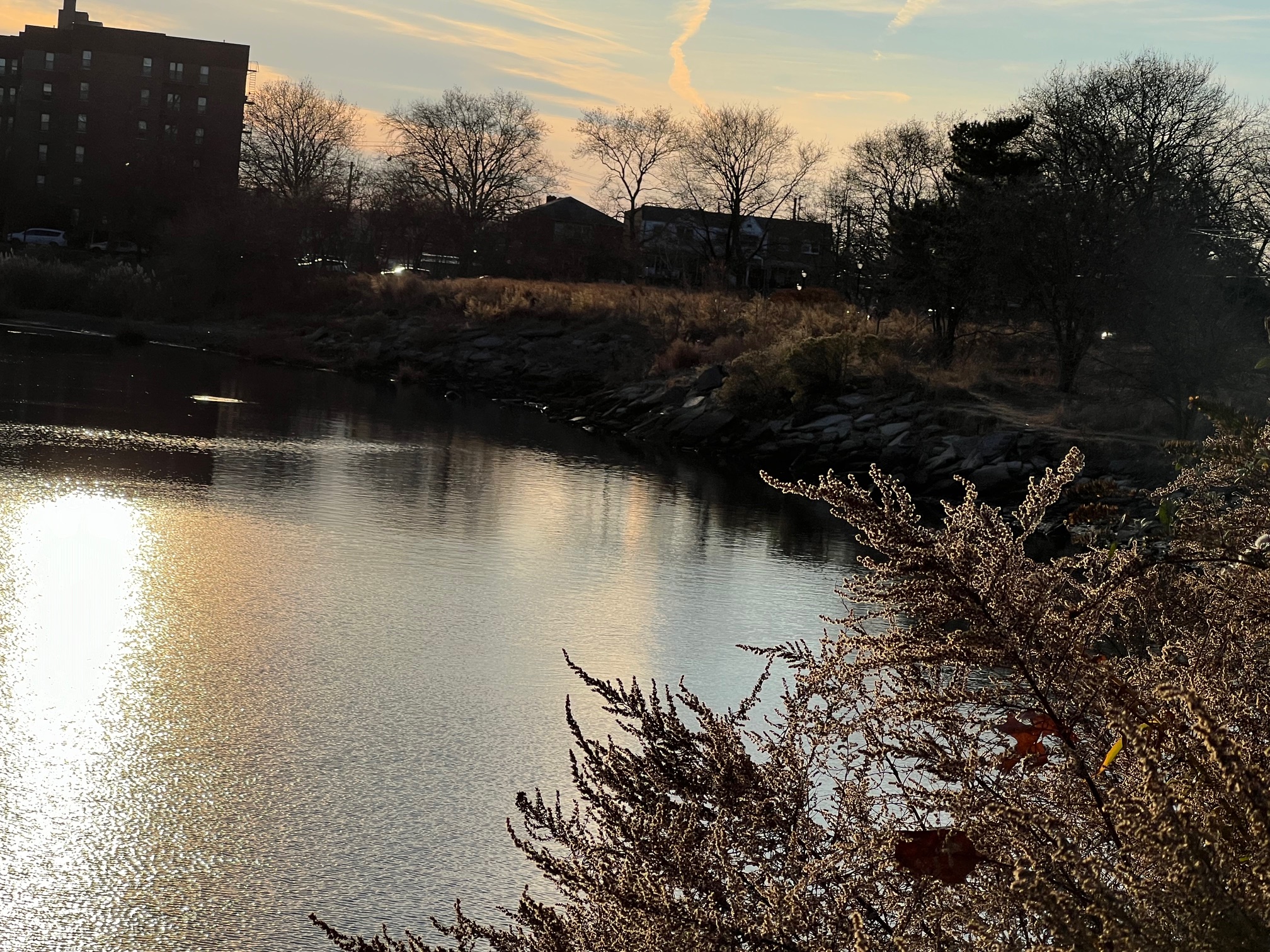 A view of the area of water where the ORS cages may have been placed in 2019.
